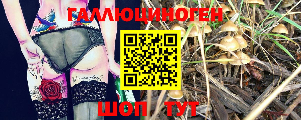 Галлюциногенные грибы мухоморы Луховицы