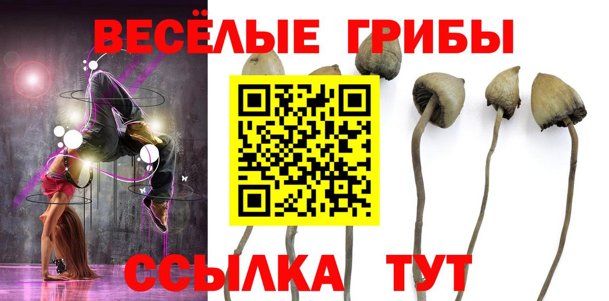 Луховицы  Псилоцибиновые грибы мухоморы  Вход с VPN 