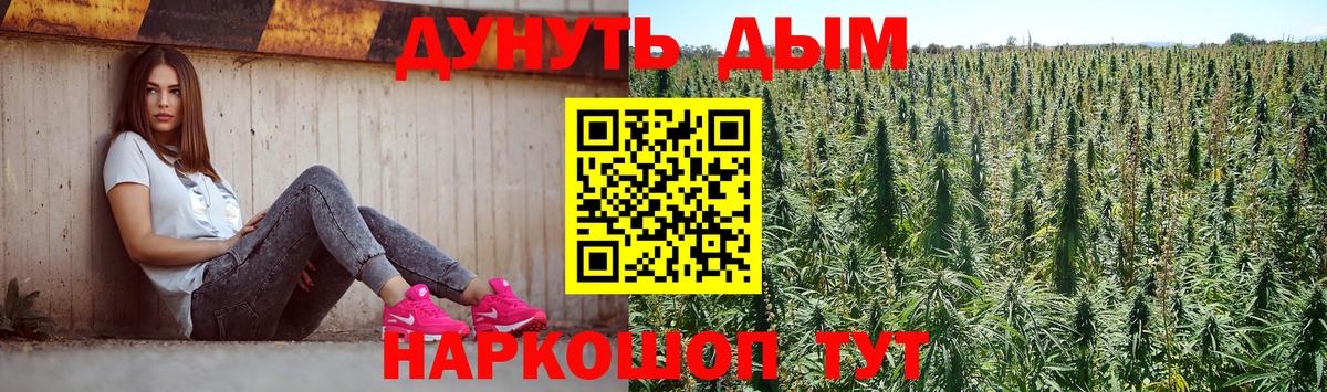 Бошки марихуана планчик  Конопля Bruce Banner  Вход с VPN  Конопля VHQ  Луховицы 